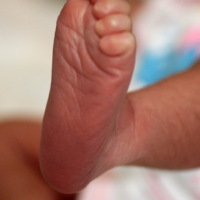 Read more: Early Notification scheme: new role and updated reporting form