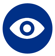 Focus on key areas icon